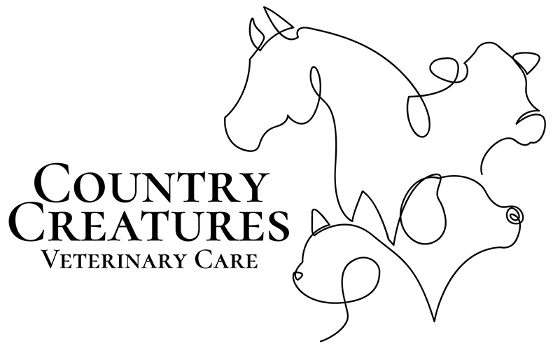 Country Creatures Veterinary Care